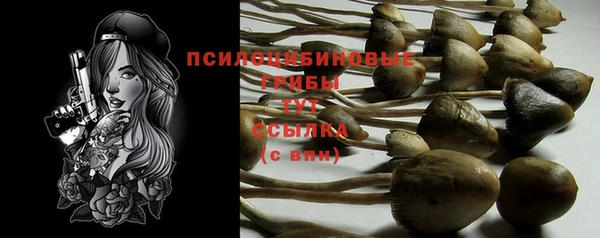 spice Белоозёрский