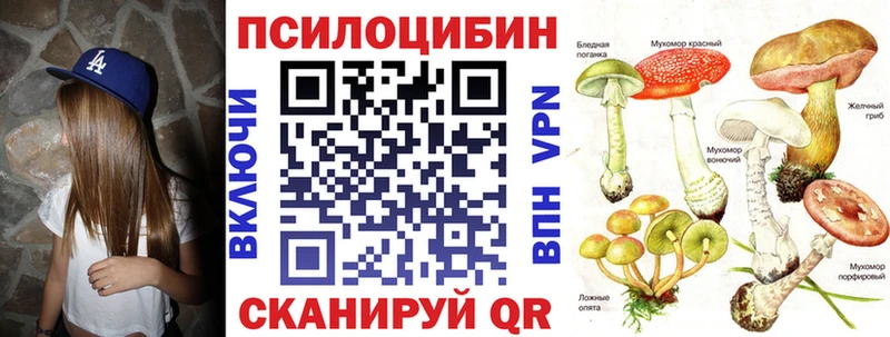 купить  цена  Куртамыш  hydra ссылки  Галлюциногенные грибы прущие грибы 